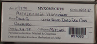 Image Associated With the Occurence